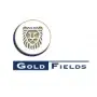 Gold FieldsADR Aktie