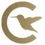 Cuentas Aktie