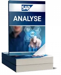 SAP Analyse