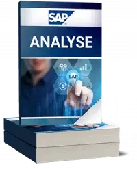 SAP Analyse