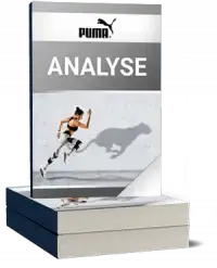 Puma Analyse