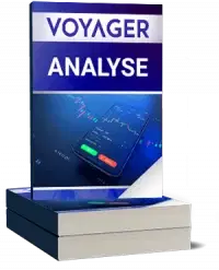 Voyager Digital Analyse