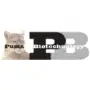 Puma Biotechnology Logo