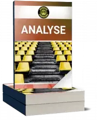 Borussia Dortmund GmbH Analyse