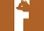 Copper Fox Metals Aktie