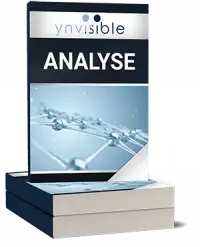 Ynvisible Interactive Analyse