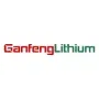Ganfeng Lithium Ltd. Registered (H) Aktie