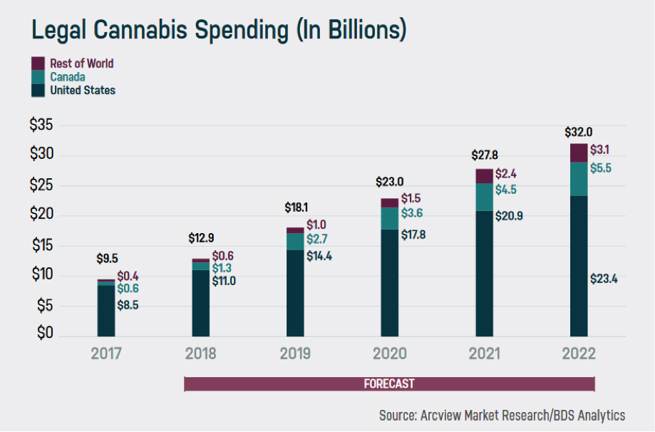 Trendmarkt Cannabis-Aktien