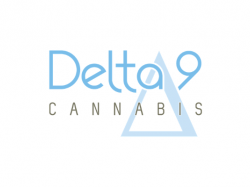 Delta 9 Cannabis Aktie: Die sieht sehr interessant aus!