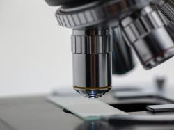Can-Fite Biopharma Aktie: Piclidenoson zeigt neue, vielversprechende Entwicklungen für…!