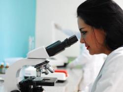 Calithera Biosciences Aktie: Warum sie, BioNano Genomics und andere heute in Bewegung sind!
