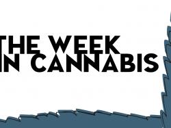Die Woche in Cannabis: Höhenflug!