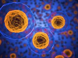 Der tägliche Biotech-Puls: Pfizer & Moderna stellen Impfstoffstrategien für Coronavirus-Varianten vor!