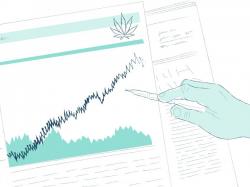 Aphria Aktie: 6 Langfristige Themen, die Cannabis-Investoren beachten sollten!