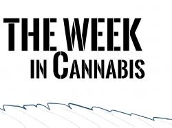 Cannabis Aktien: Virginia legalisiert, Big Retail bewegt sich!