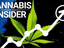Cannabis-Aktien: Aufgepasst!