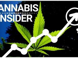 CBD of Denver Aktie: Marcel Gama bespricht den europäischen CBD-Markt!