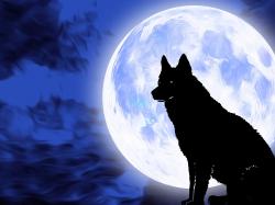 SafeMoon: Überholt sie Dogecoin?
