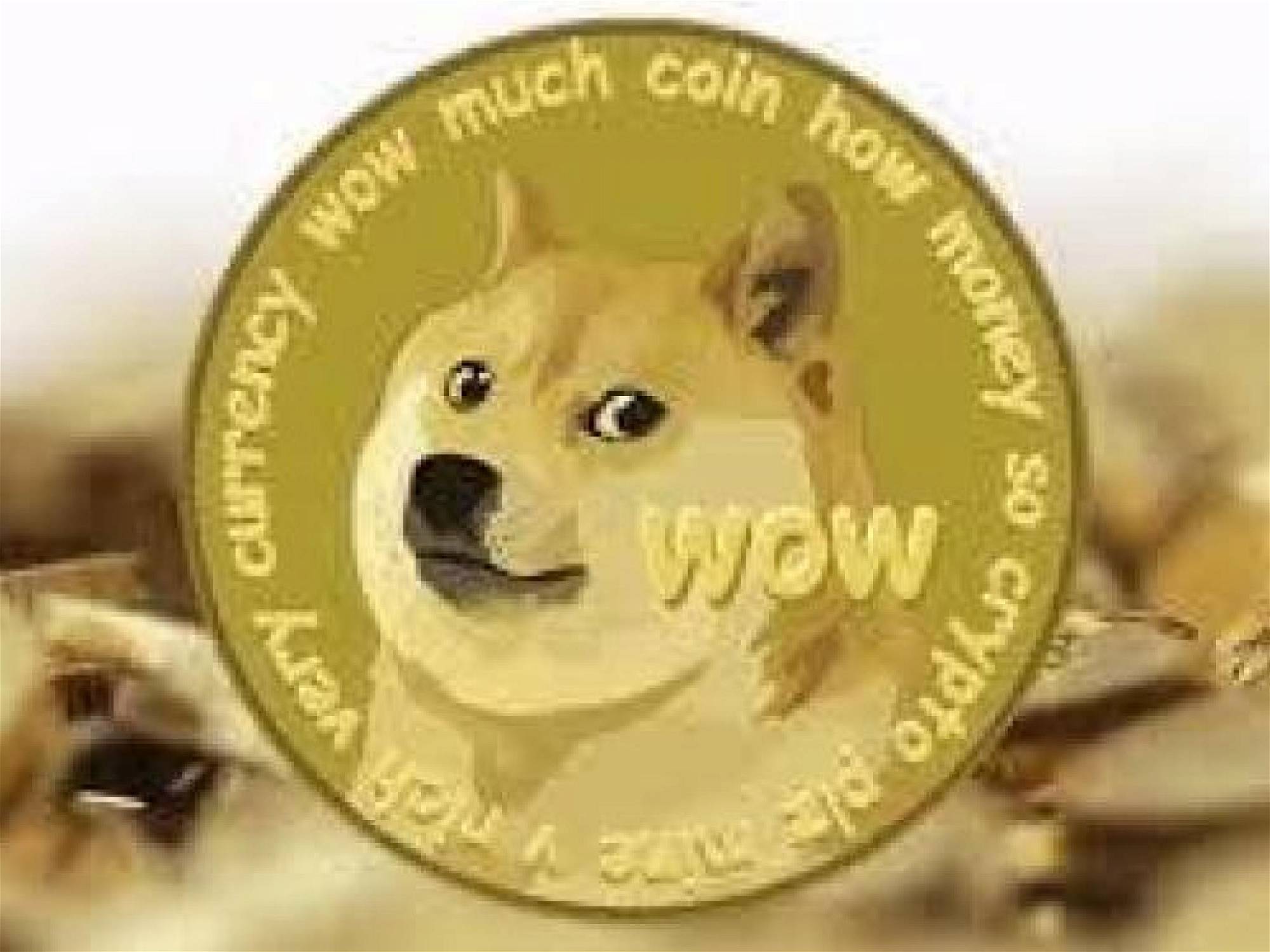 Shiba Inu Coin Kurs : We invite speakers from various ...