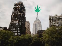 New York legalisiert Cannabis: Diese Chancen eröffnen sich!