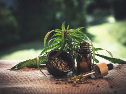 Cannabis-Aktien: Top 10 Marihuana und Psychedelika Geschichten der Woche!
