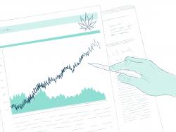 Cannabis-Aktien: Tops & Flops