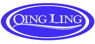 Qingling Motors-Aktie: Sollten Sie jetzt kaufen?