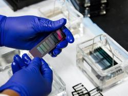 Die Woche in Biotech (12.-18. September): Die Highlights!