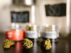 Cannabis-Aktien: Depots im Überblick!