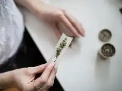 Cannabis-Aktien: Aurora Cannabis meldet 45% geringere Quartalseinnahmen!