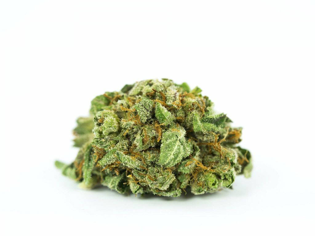 Canopy Growth, Aurora, Tilray Aktien: Was jetzt möglich ist!