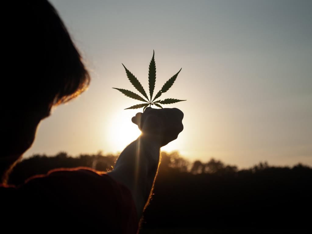 Leafly Aktie: Das sind die neusten Personalwechsel in der Cannabisbranche!