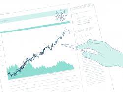 Cannabis-Aktien: Aurora & Trulieve unter den Top-Cannabis-Movern!
