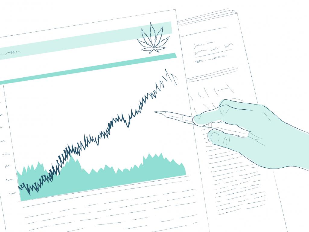 Cannabis-Aktie: Die Gewinner und Verlierer!