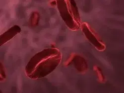 Biotech-Aktien: Merck meldet ein erfolgreiches Quartal!