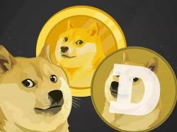 Binance Coin: 9 Millionen Dogecoin von BNB-Wal erbeutet!