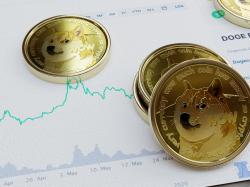Dogecoin: Dort bezahlen Sie mit Doge!