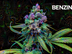 AUDACIOUS-Aktie: Cannabis-Klinik eröffnet!