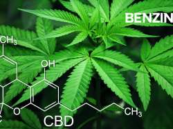 Item 9 Labs-Aktie: Kauf von Cannabis-Depotstelle!