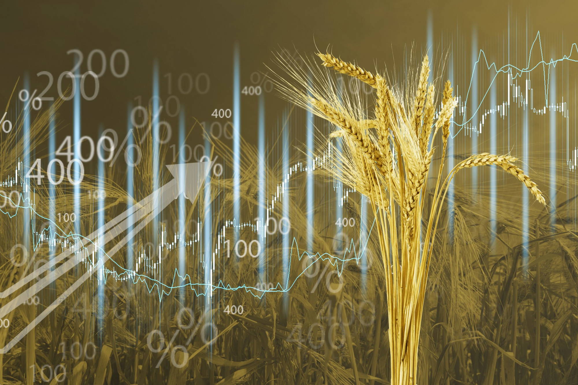 Weizen Der Weizenpreis in 10 Jahren Finanztrends