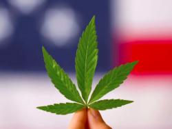 Cannabis-Aktien: Gesetzesentwurf zur Cannabisreform!