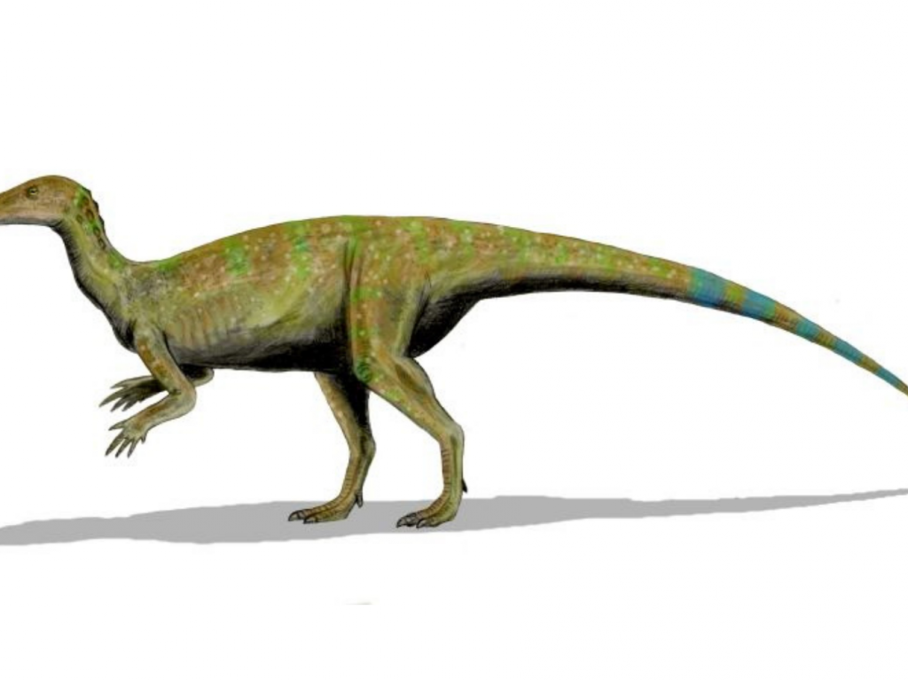 Archäologie: Neue Erkenntnisse zum Verschwinden der Dinosaurier?