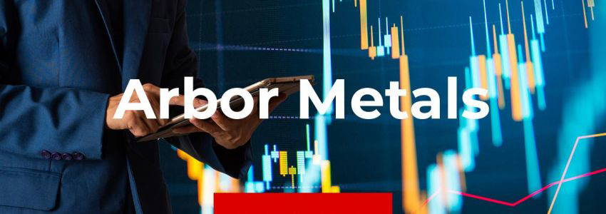 Arbor Metals-Aktie: Wenig Substanz!