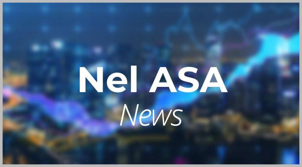 Nel Asa-Aktie: Jetzt zugreifen?