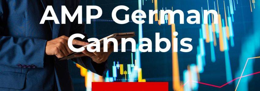 AMP German Cannabis Aktie: Stürzt die Aktie noch tiefer ab?