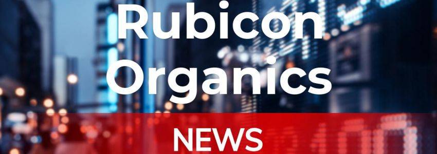 Rubicon Organics Aktie: Ist jetzt Schluss mit lustig?
