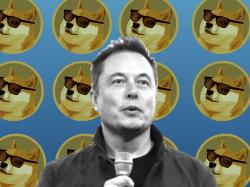 Dogecoin: Aktien von Tesla erworben!