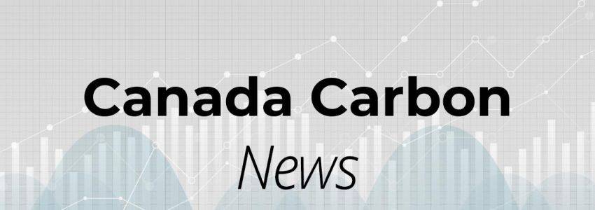 Canada Carbon Aktie: Was könnte passieren?