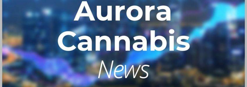 Aurora Cannabis Aktie: Die Anleger sind bestens gelaunt!