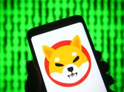 Shiba Inu: Kursexplosion!